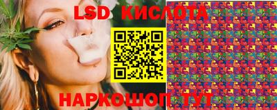 стаф Новокубанск