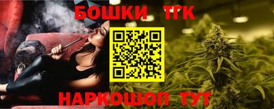 Альфа ПВП Обь