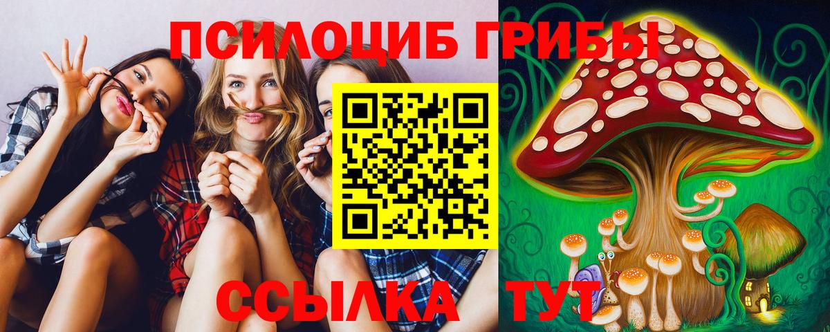 Галлюциногенные грибы Psilocybine cubensis Тихвин